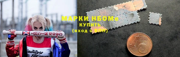 крисы Слюдянка