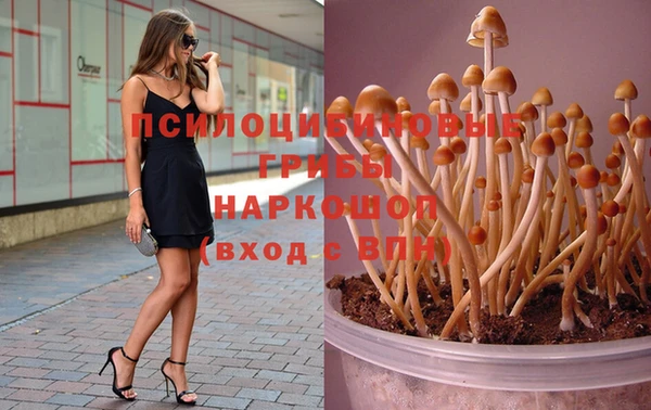 спиды Верхний Тагил