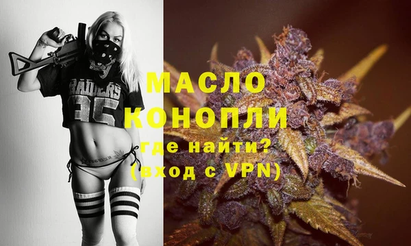 крисы Слюдянка