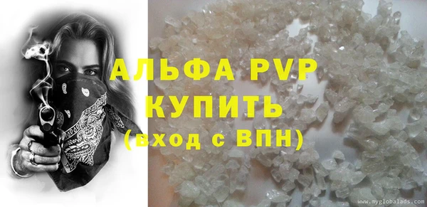 a pvp Бородино